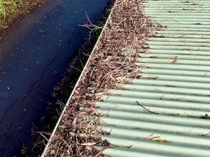 gutter cleaning